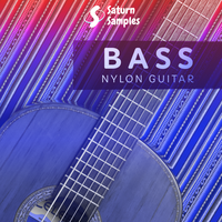 Bass Nylon Guitar